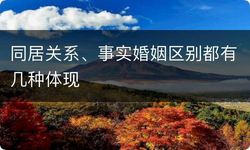 同居关系、事实婚姻区别都有几种体现