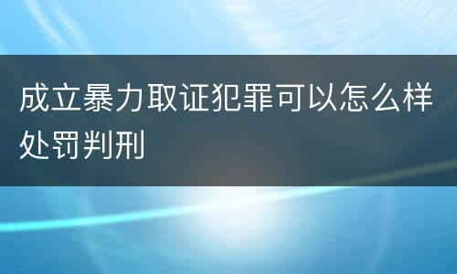 成立暴力取证犯罪可以怎么样处罚判刑
