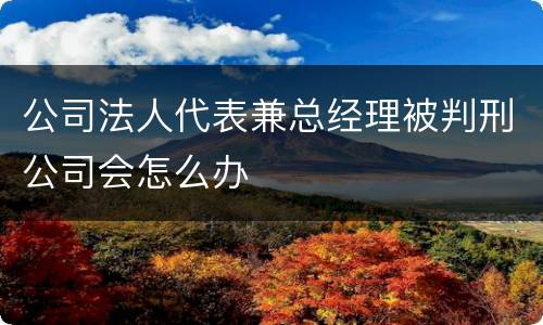 公司法人代表兼总经理被判刑公司会怎么办