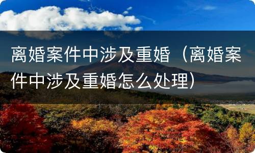 离婚案件中涉及重婚（离婚案件中涉及重婚怎么处理）