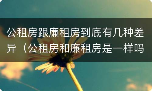 公租房跟廉租房到底有几种差异（公租房和廉租房是一样吗）