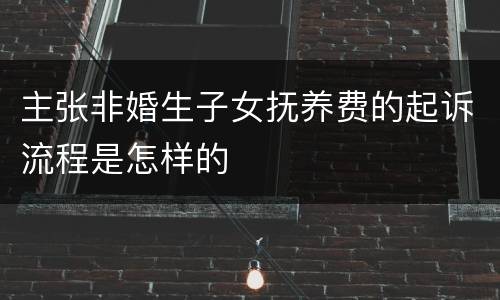主张非婚生子女抚养费的起诉流程是怎样的