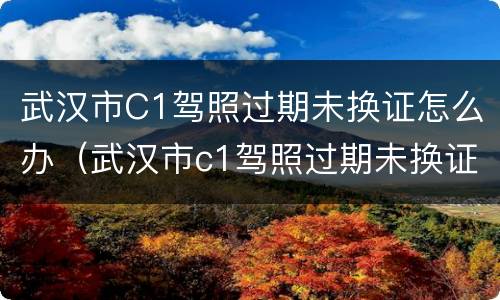 武汉市C1驾照过期未换证怎么办（武汉市c1驾照过期未换证怎么办理）