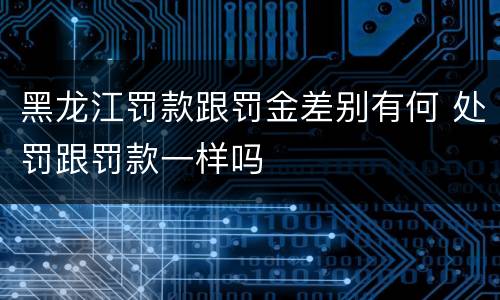 黑龙江罚款跟罚金差别有何 处罚跟罚款一样吗