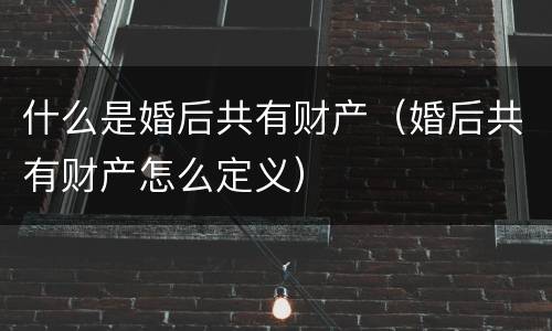 什么是婚后共有财产（婚后共有财产怎么定义）