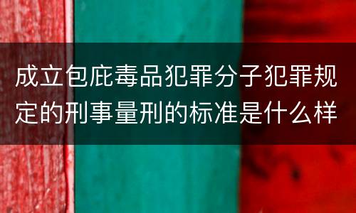 成立包庇毒品犯罪分子犯罪规定的刑事量刑的标准是什么样的