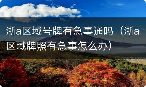 浙a区域号牌有急事通吗（浙a区域牌照有急事怎么办）
