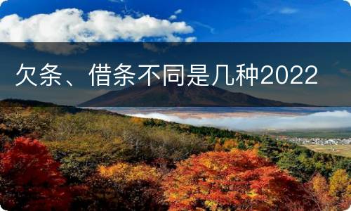 欠条、借条不同是几种2022