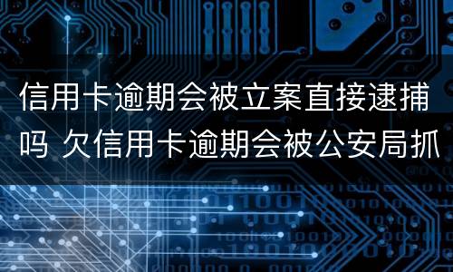 信用卡逾期会被立案直接逮捕吗 欠信用卡逾期会被公安局抓吗