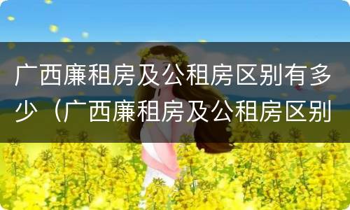 广西廉租房及公租房区别有多少（广西廉租房及公租房区别有多少套）