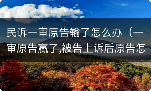 民诉一审原告输了怎么办（一审原告赢了,被告上诉后原告怎么办）