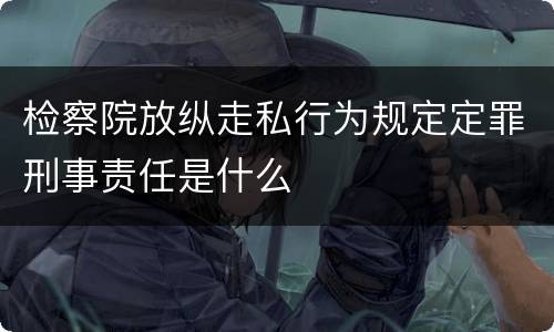 检察院放纵走私行为规定定罪刑事责任是什么