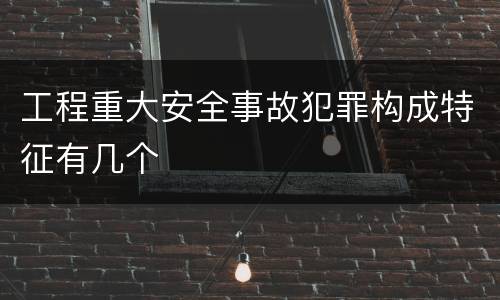 工程重大安全事故犯罪构成特征有几个