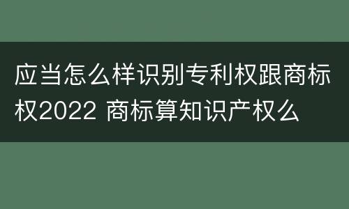 应当怎么样识别专利权跟商标权2022 商标算知识产权么