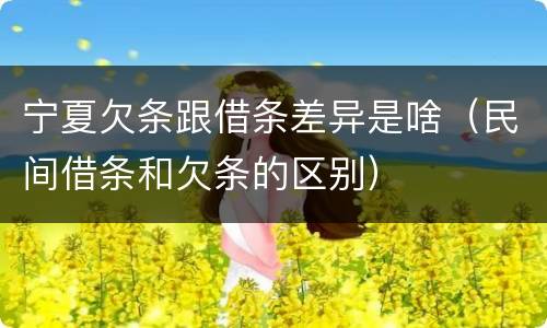 宁夏欠条跟借条差异是啥（民间借条和欠条的区别）