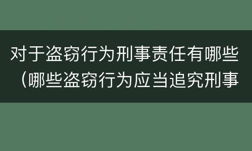 对于盗窃行为刑事责任有哪些（哪些盗窃行为应当追究刑事责任）