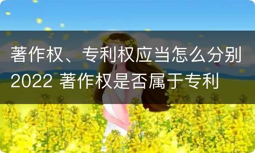 著作权、专利权应当怎么分别2022 著作权是否属于专利