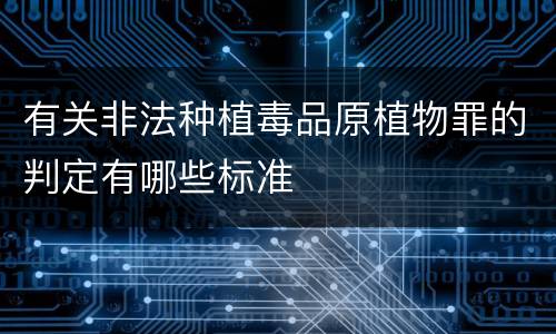 有关非法种植毒品原植物罪的判定有哪些标准