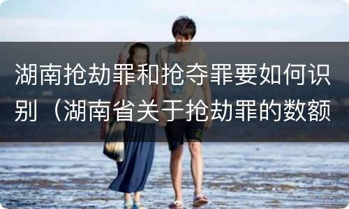 湖南抢劫罪和抢夺罪要如何识别（湖南省关于抢劫罪的数额规定）