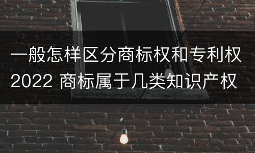 一般怎样区分商标权和专利权2022 商标属于几类知识产权