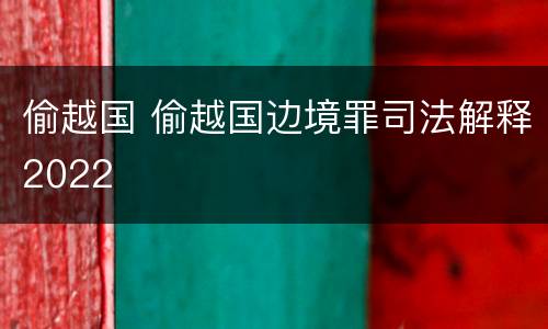 偷越国 偷越国边境罪司法解释2022
