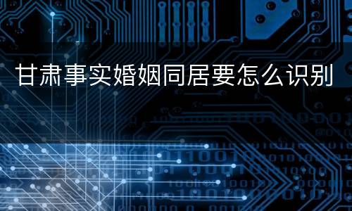 甘肃事实婚姻同居要怎么识别