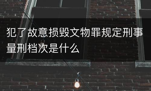 犯了故意损毁文物罪规定刑事量刑档次是什么