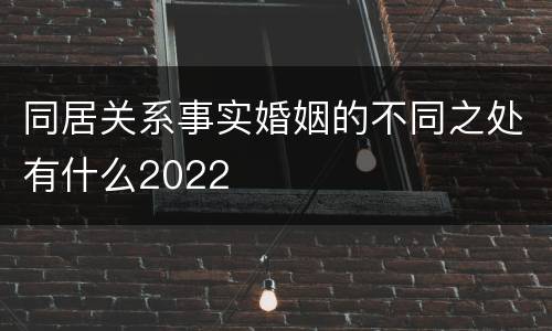 同居关系事实婚姻的不同之处有什么2022
