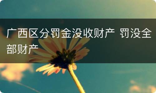 广西区分罚金没收财产 罚没全部财产