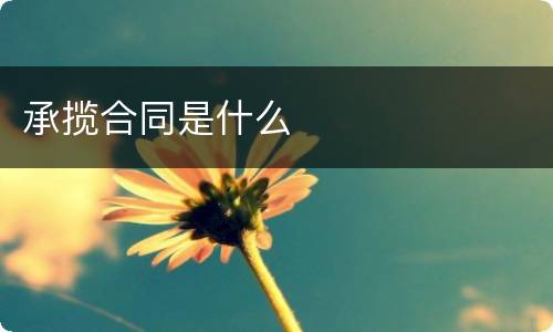 承揽合同是什么