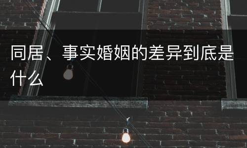 同居、事实婚姻的差异到底是什么
