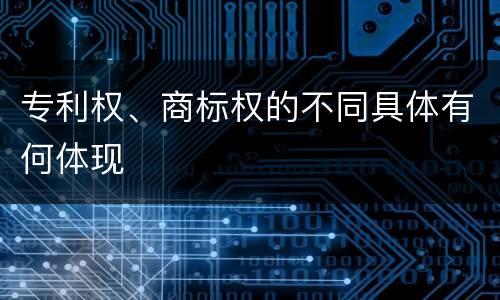 专利权、商标权的不同具体有何体现