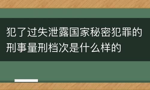 犯了过失泄露国家秘密犯罪的刑事量刑档次是什么样的