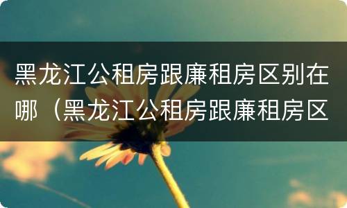 黑龙江公租房跟廉租房区别在哪（黑龙江公租房跟廉租房区别在哪里）