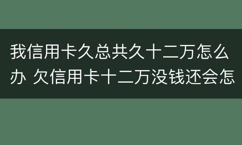我信用卡久总共久十二万怎么办 欠信用卡十二万没钱还会怎么样