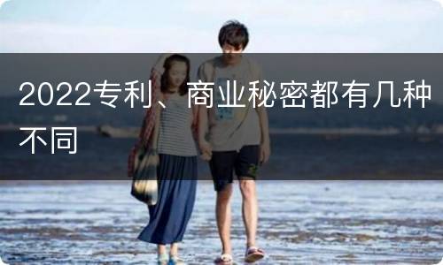 2022专利、商业秘密都有几种不同