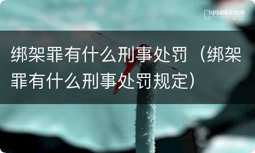 绑架罪有什么刑事处罚（绑架罪有什么刑事处罚规定）