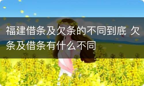 福建借条及欠条的不同到底 欠条及借条有什么不同