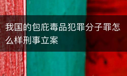 我国的包庇毒品犯罪分子罪怎么样刑事立案
