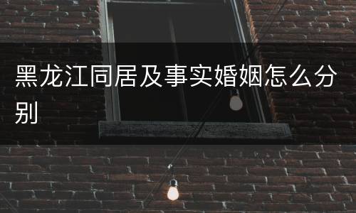 黑龙江同居及事实婚姻怎么分别