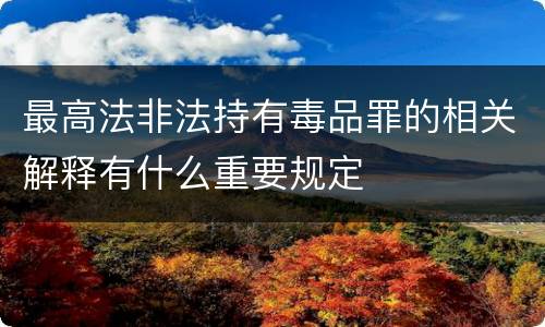 最高法非法持有毒品罪的相关解释有什么重要规定