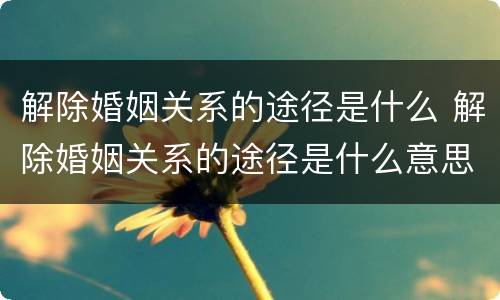 解除婚姻关系的途径是什么 解除婚姻关系的途径是什么意思