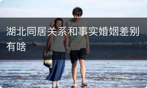湖北同居关系和事实婚姻差别有啥