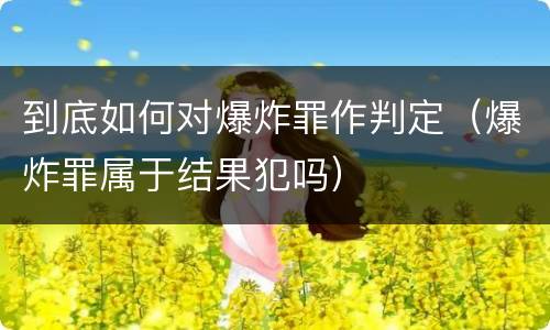 到底如何对爆炸罪作判定（爆炸罪属于结果犯吗）