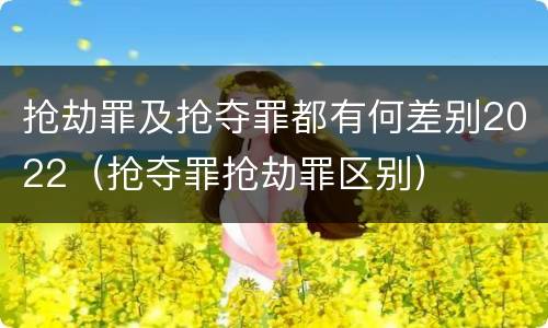 抢劫罪及抢夺罪都有何差别2022（抢夺罪抢劫罪区别）