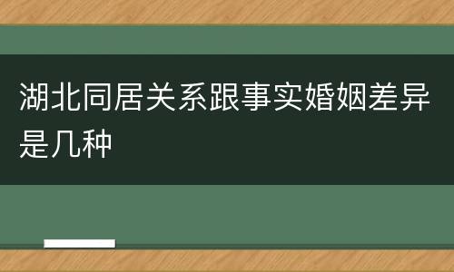 湖北同居关系跟事实婚姻差异是几种
