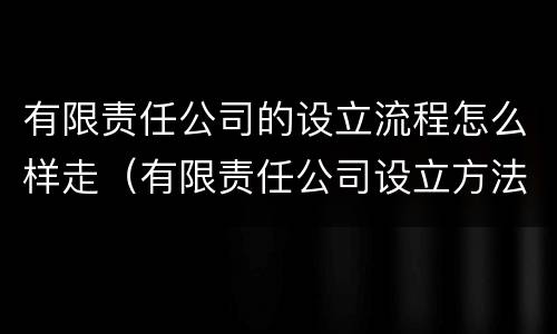 有限责任公司的设立流程怎么样走（有限责任公司设立方法）