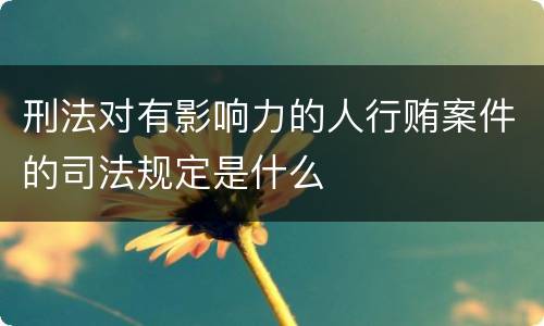 刑法对有影响力的人行贿案件的司法规定是什么