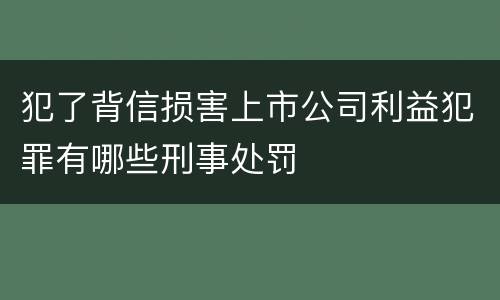 犯了背信损害上市公司利益犯罪有哪些刑事处罚