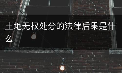 土地无权处分的法律后果是什么